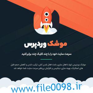 معرفی افزونه WP Rocket